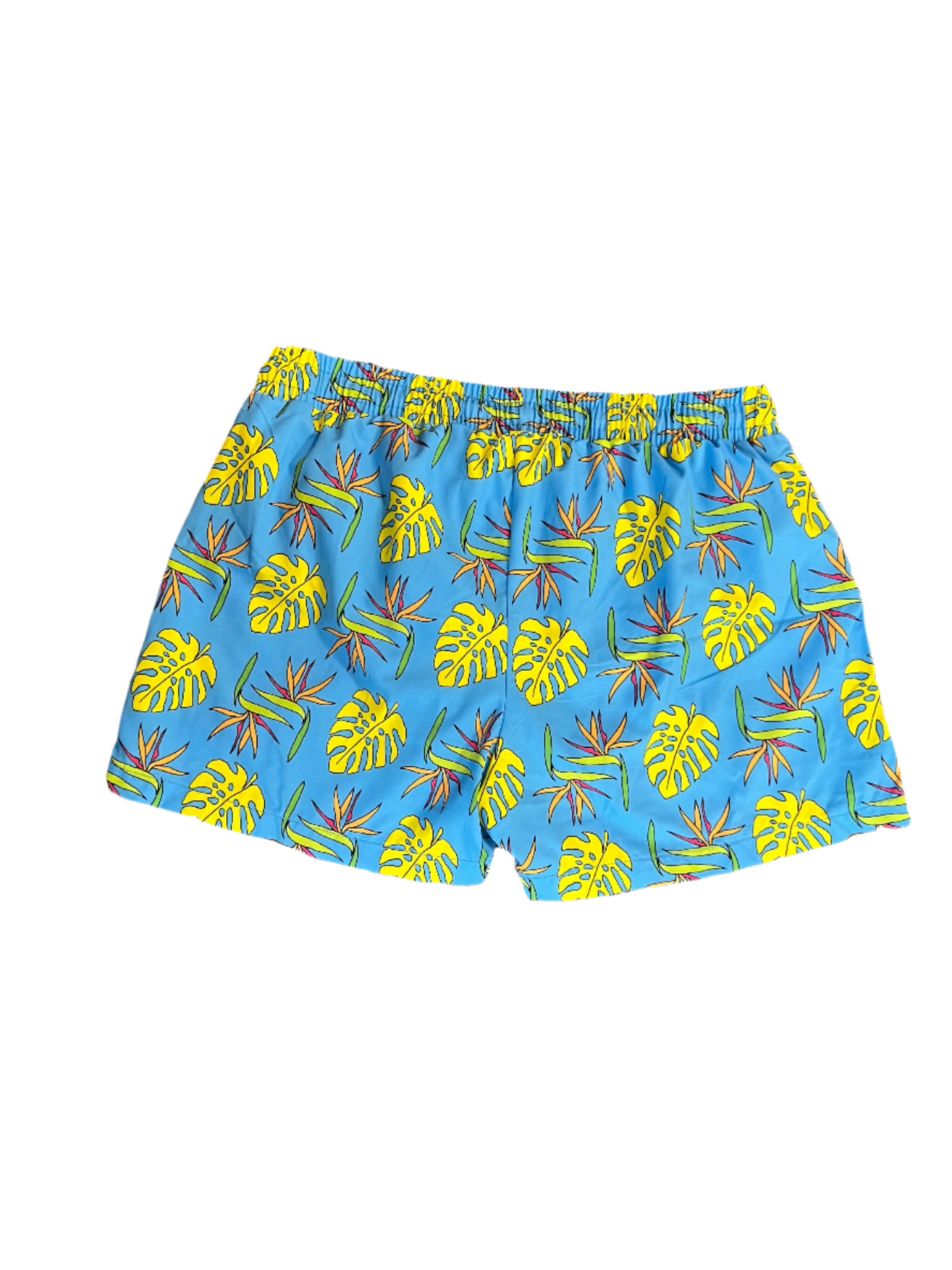 "Briefs of Paradise" Everywhere Shorts