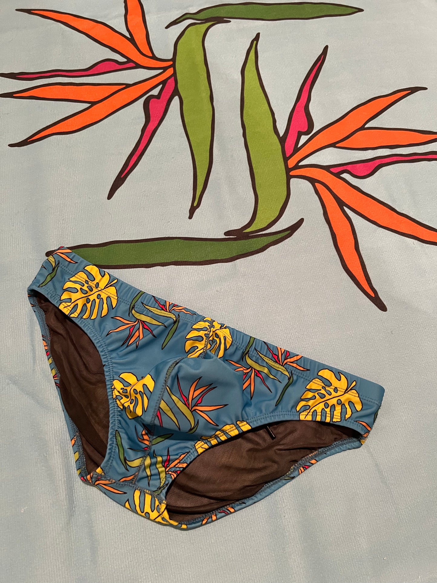 "Briefs of Paradise" Contour Front Swim Brief (2" Hip)