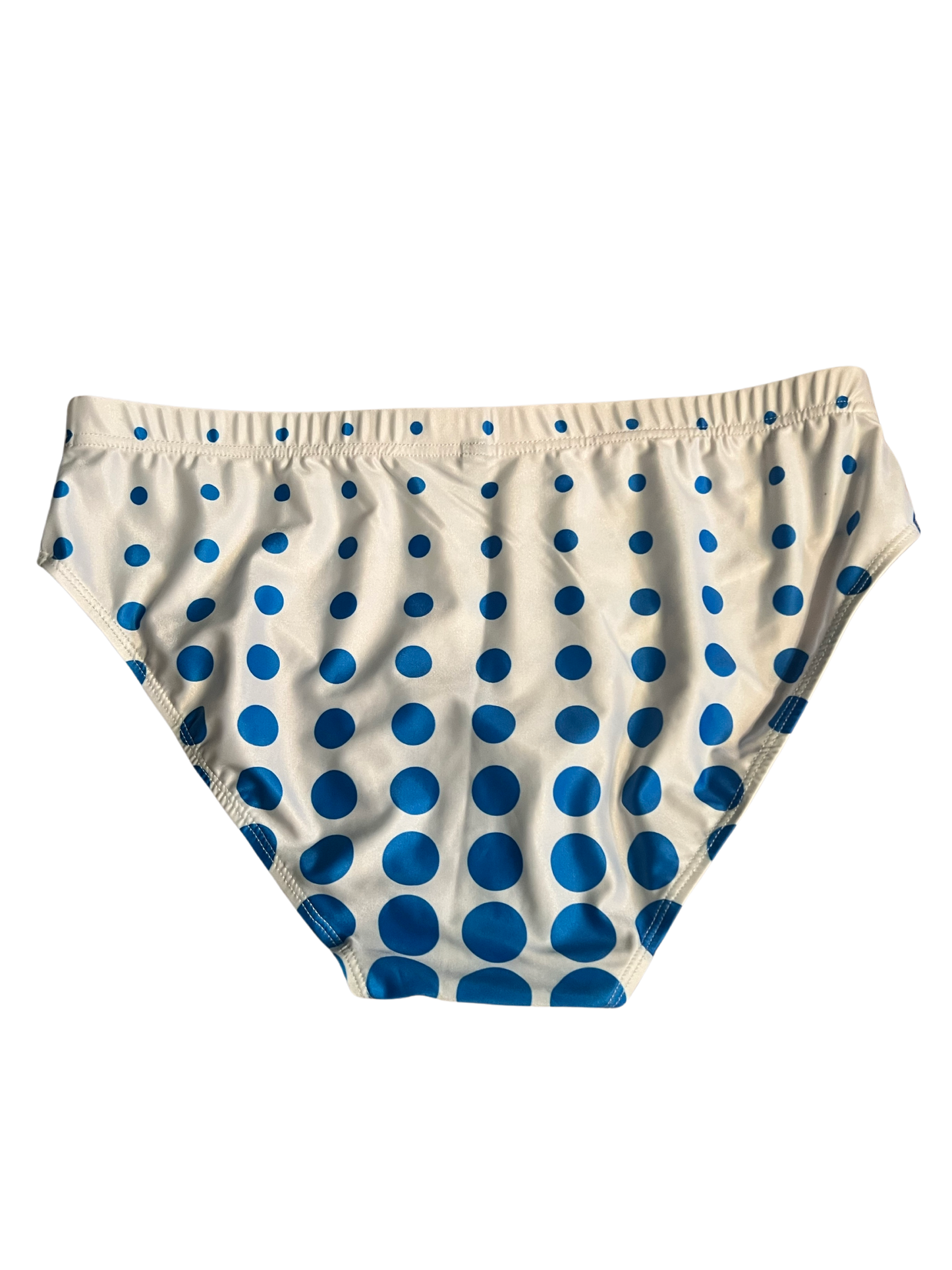 Lavish Swim Brief - Large (Shop Ricky's Closet)