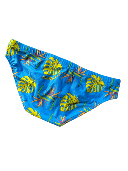 "Briefs of Paradise" Swim Brief