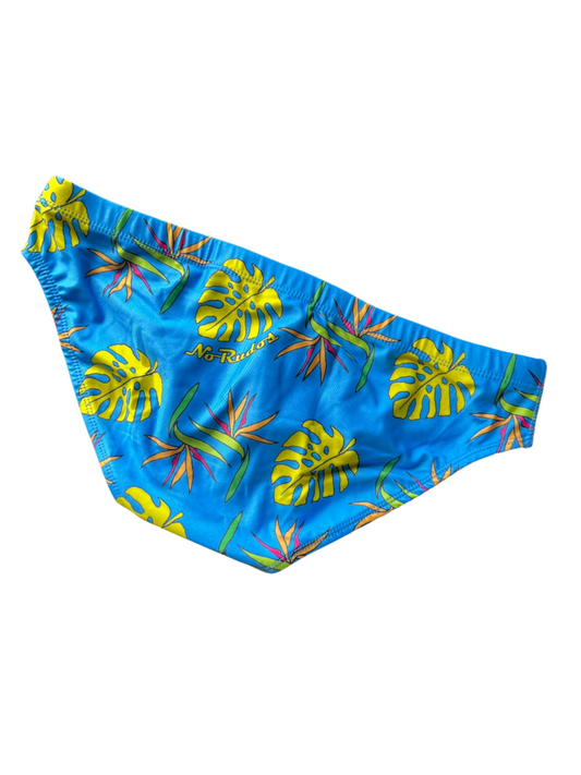 "Briefs of Paradise" Contour Front Swim Brief (2" Hip)