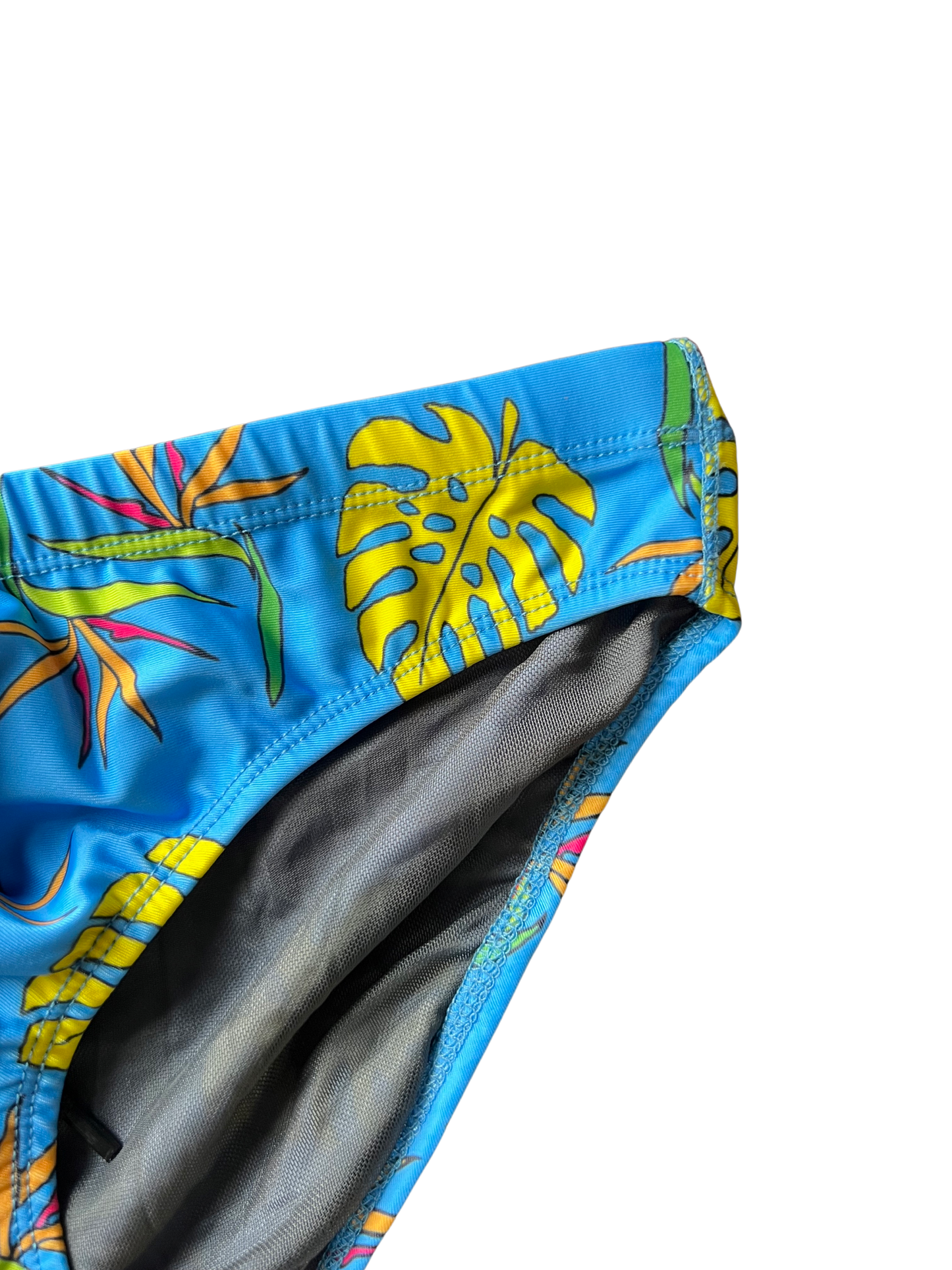 "Briefs of Paradise" Swim Brief