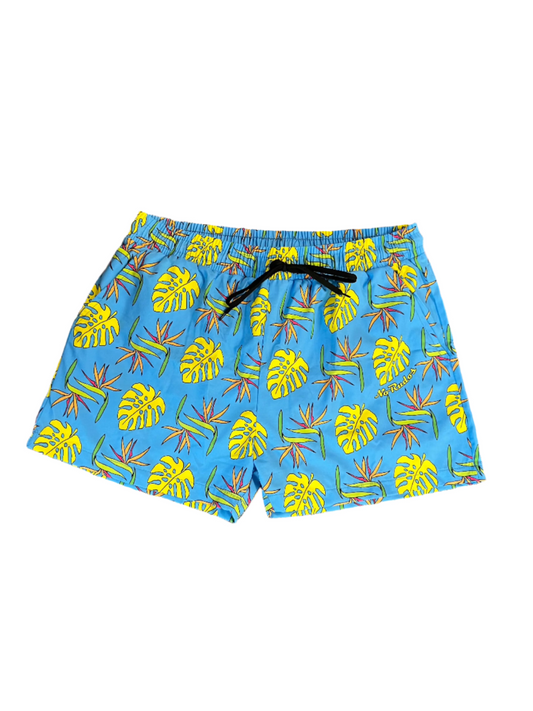 "Briefs of Paradise" Everywhere Shorts