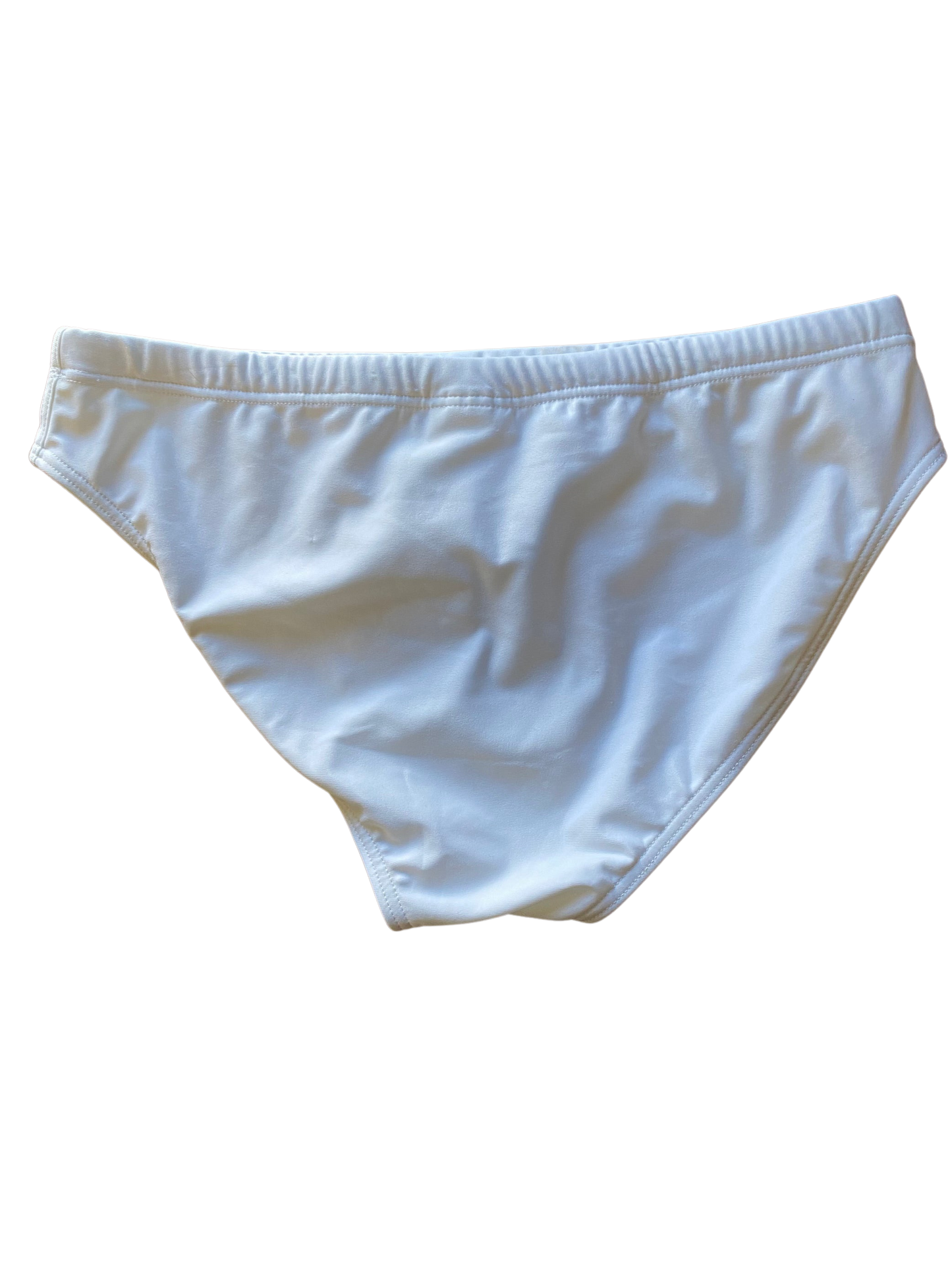 Arena Pride Swim Brief (WITH TAGS) (22 W)